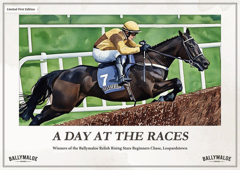 Set Of Six Ballymaloe Races Placemats